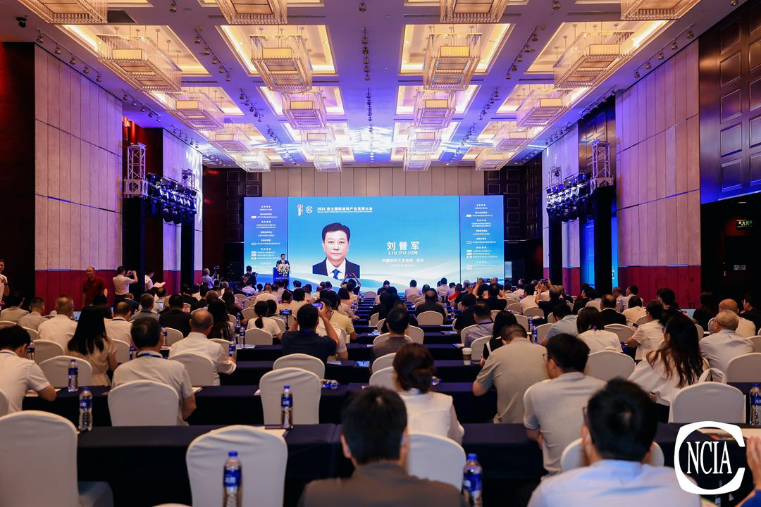 中國(guó)涂料工業(yè)協(xié)會(huì)會(huì)長(zhǎng)劉普軍致辭